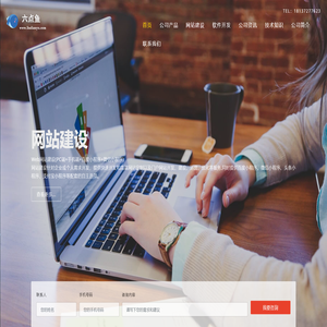 网站建设_软件开发_App开发_全网营销-河南六点鱼信息技术有限公司